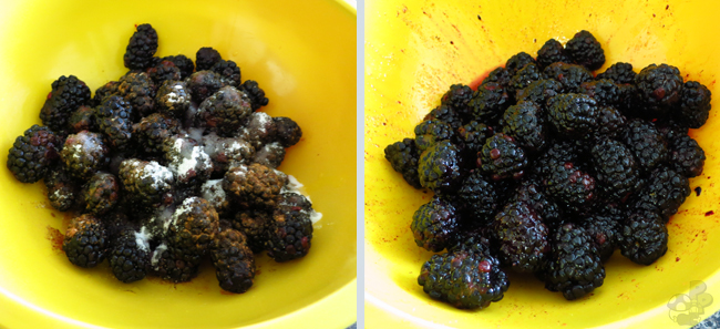 Blackberry Tart: Preparing the blackberries