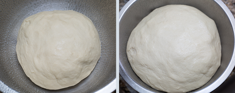 Sesame Seed Buns: Letting the dough rest