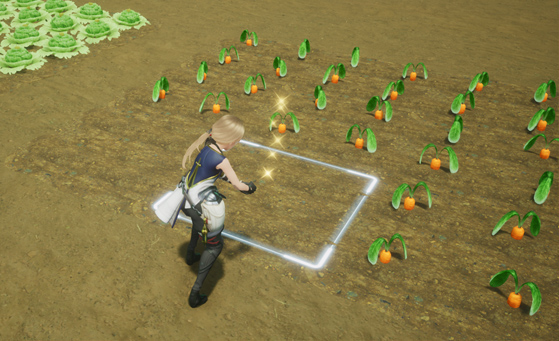 Harvestella Screenshot: Character preparing crops in the field